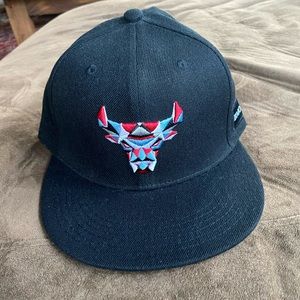 NWOT Chicago Bulls Hat. 2018/19 Artist Hat Series